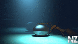 Ant_with_Egg_wallpaper_1366x768.jpg