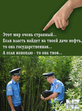 FB_IMG_15421865604271020.jpg