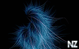Bad_Hair_Day0001650066_Bad_Hair_Day.jpg