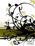 Black0001475492_Black.jpg