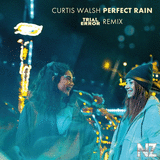 Curtis Walsh - Perfect Rain (Trial & Error Remix)