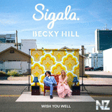 Sigala & Becky Hill - Wish You Well (Original Mix)