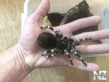 A2223845_BEF4_4402_A551_ADF8C4EBDFD4.jpeg