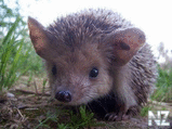 berloga_net_1335701472.jpg